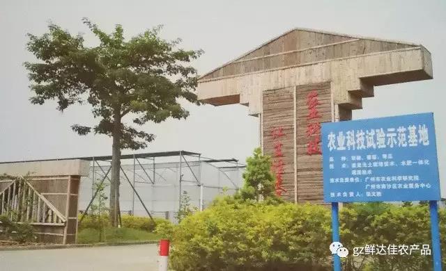 南沙农业生产好色先生污视频